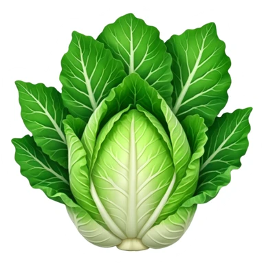 chinese cabbage sticker