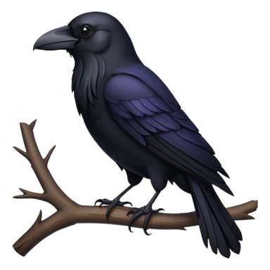 a full Raven sticker