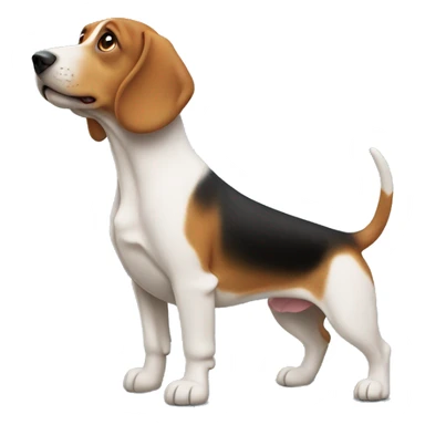 un beagle et un teckel  sticker