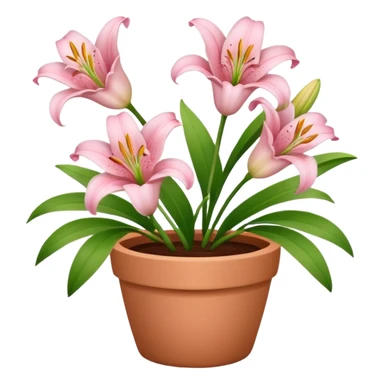 light pink lily flowers in a clay pot sticker