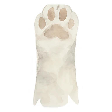 cat paw, loose and expressive brushwork sticker