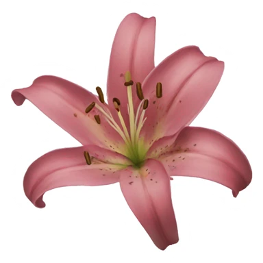 lily sticker