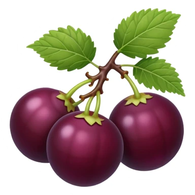 black currant sticker