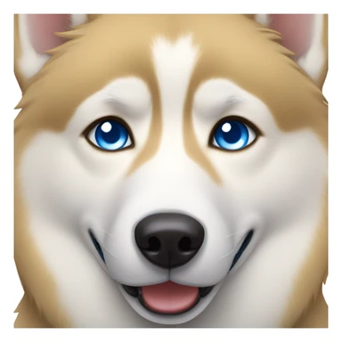 Golden husky with blue eyes sticker