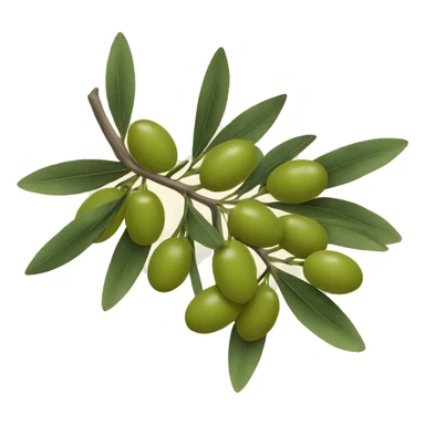 Olive branch sticker