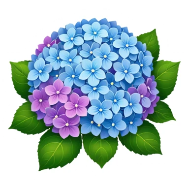 Hydrangeas sticker