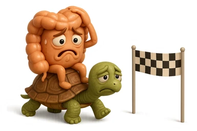  EMOJI STILE IPHONE 3D DI UN INTESTINO CON ESPRESSIONE ANGOSCIATA CHE CAMMINA SEDUTO IN GROPPA SUL GUSCIO DI UNA TARTARUGA IN ATTESA ESTENUANTE DI RAGGIUNGERE UN TRAGUARDO POCO PIù AVANTI, SULLA LORO DESTRA. IL TRAGUARDO è UNA BANDIERA A DUE PIEDI CON FASCIA A SCACCHI BIANCHI E NERI. iperrealistico 4k sticker