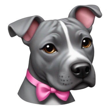 Grey staffy with pink bows in hair sticker