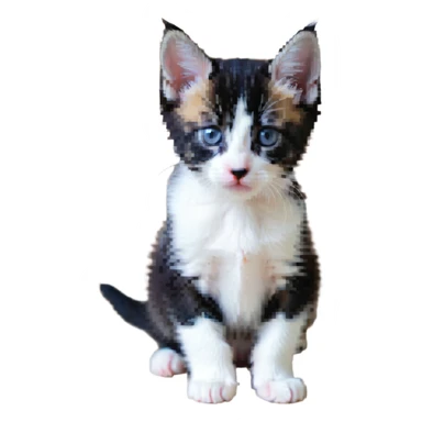 A kitten with a puppy-like gaze sticker