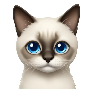 fluffy siamese cat blue eyes sticker