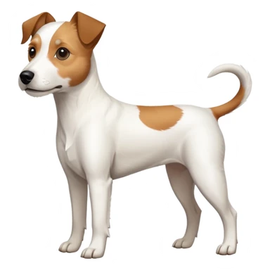 a full body white parson russell looking dog the size of a kelpie with light brown ears and a light brown patch on one eye and a large snout sticker
