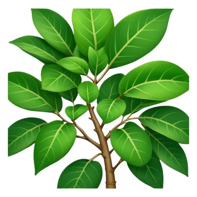 Ficus plant sticker