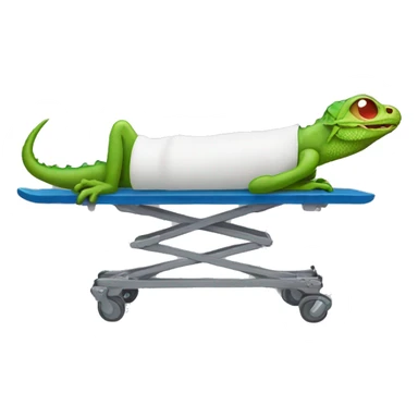 lizard on a stretcher sticker