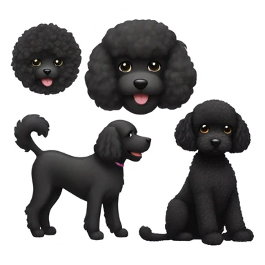 Black cat and black poodle sticker