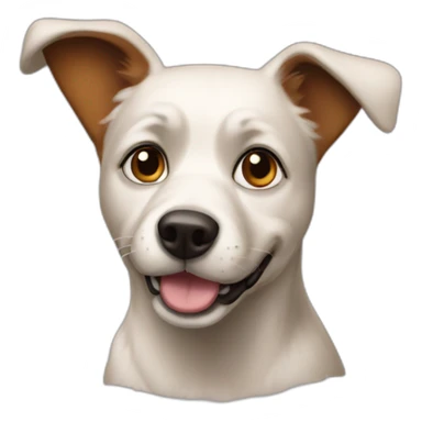 sherri's missing dog sticker