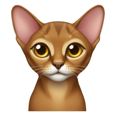  Abyssinian cat sticker