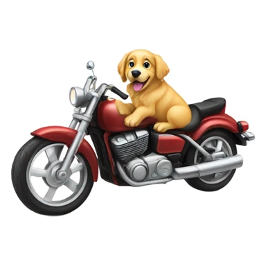 Golden retriever dog riding motorcycle  sticker