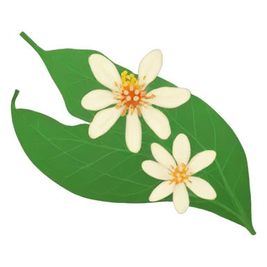 ashwagandha leaf and flower sticker