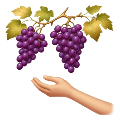 clean emoji style one hand gently picking glossy purple grapes from a vine golden sunlight minimalist luxury soft shading sticker