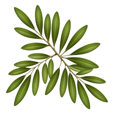 olive leaves sticker