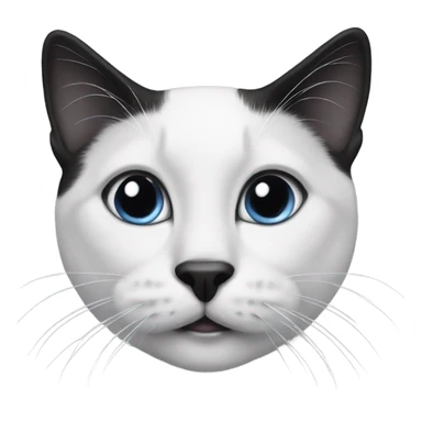 Black and white cat with a black nose sticker