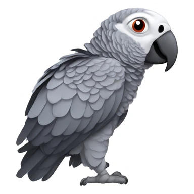 african grey parrot sticker