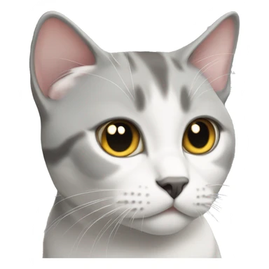 Gray and White British short hair cat sticker