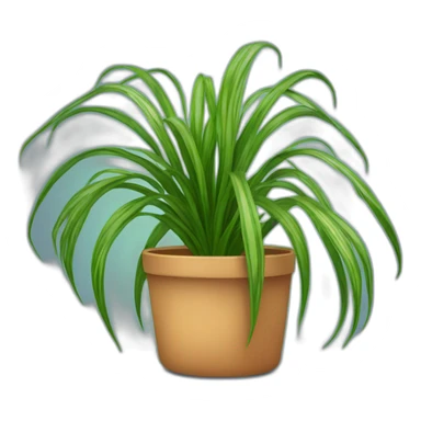 Spider plant sticker