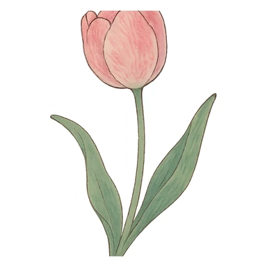single soft pink tulip with watercolor petals, green stem, curved soft leaves, elegant hand-painted style in ghibli style sticker