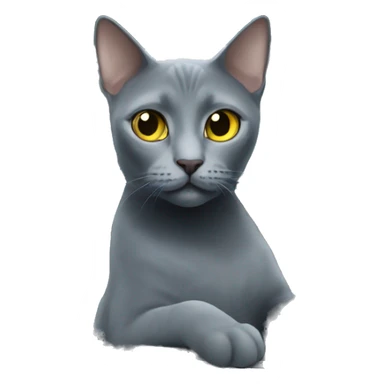 Russian blue cat in a car sticker