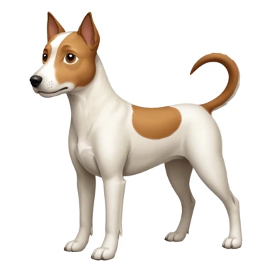 a full body large white parson russell looking dog the size of a kelpie with light brown flopped down ears and a light brown patch on one eye and a large snout sticker
