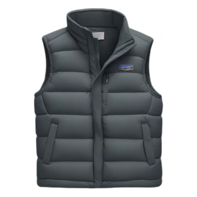 dark gray patagonia gilet sticker