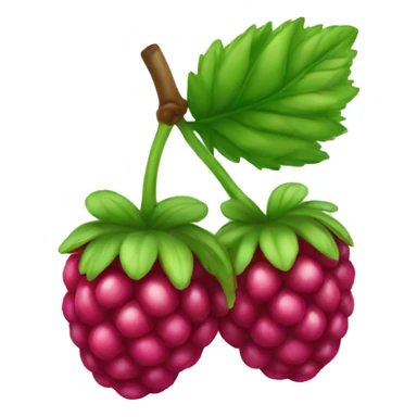 Rainbow raspberry  sticker