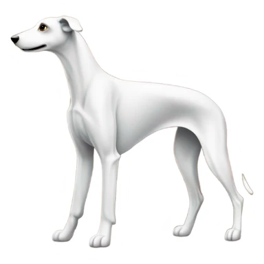 Greyhound in Italy  sticker