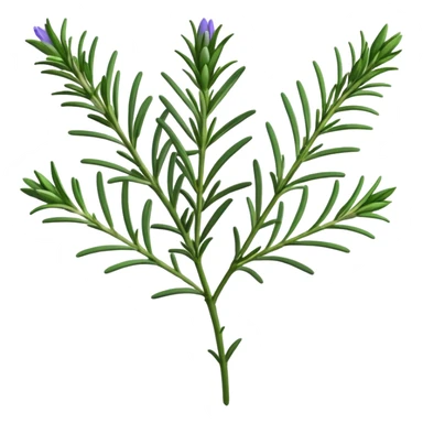 ultra realistic rosemary with flower single stem sticker