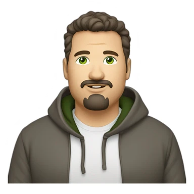 fat middle aged developer short dark brown graying hair goatee with green eyes hoodie sticker