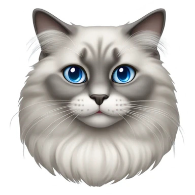 grey ragdoll cat sticker