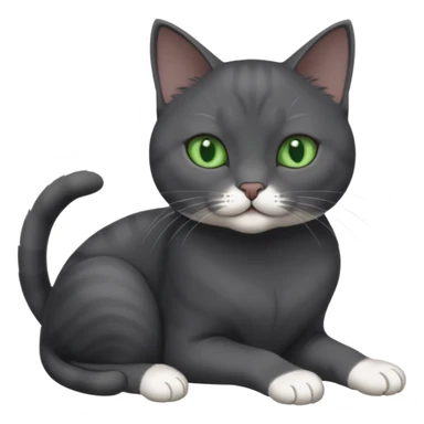 beautiful female solid dark grey cat with green eyes, white toes/paws and white patch on her chest playing sticker