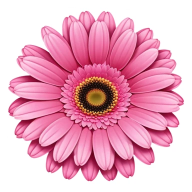 Pink gerbera daisy sticker