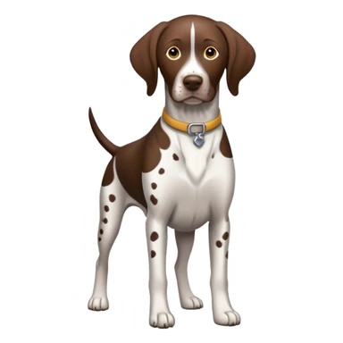 German shorthaired pointer sticker