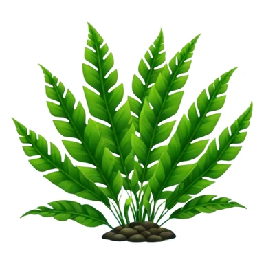 java fern sticker