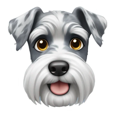 Blue Merle Schnauzer sticker