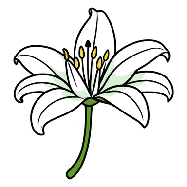Pure white lily flower with accurate six-petal structure, visible stamens, and green foliage sticker