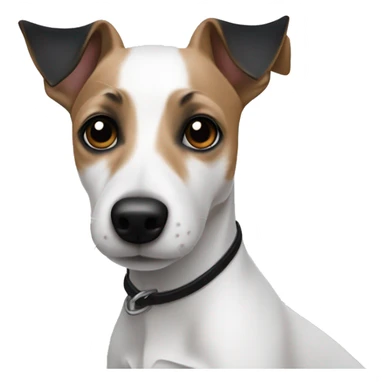 Fully white Jack russel with black ears sticker