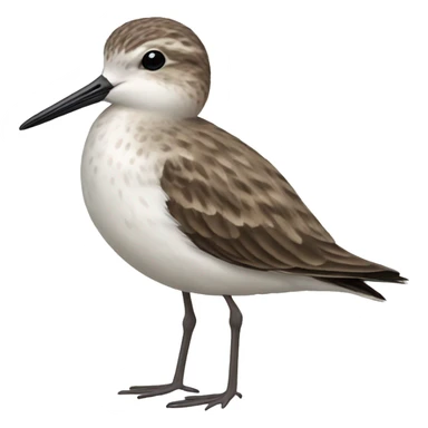 Sandpiper emoji sticker