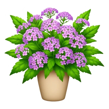 big bouquet verbena flower, leaf sticker