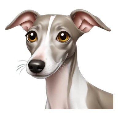 italian greyhound winking with star sticker
