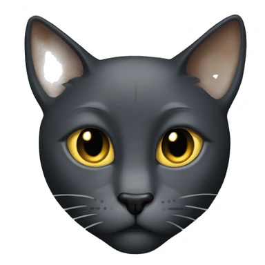 dark gray sleek Tom cat with gold eyes  sticker