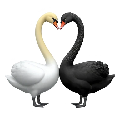 Black swan and  white swan Two swan making a heart 💗 emoji sticker