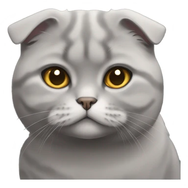 grey scottish fold cat sticker